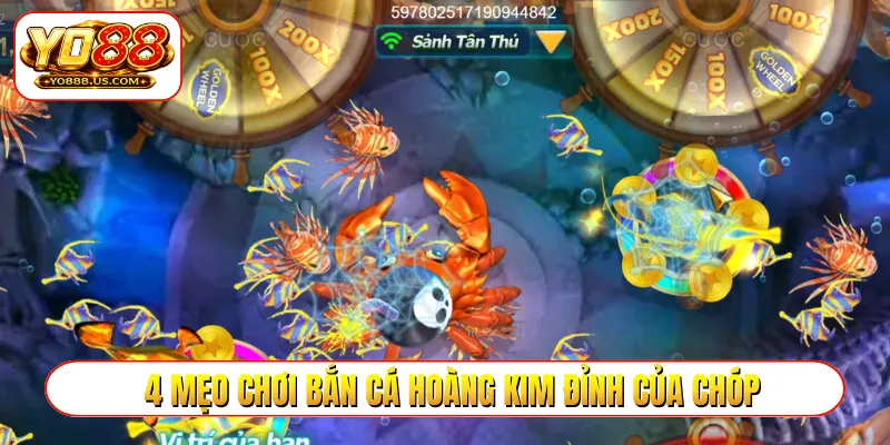 4 mẹo chơi bắn cá hoàng kim đỉnh của chóp