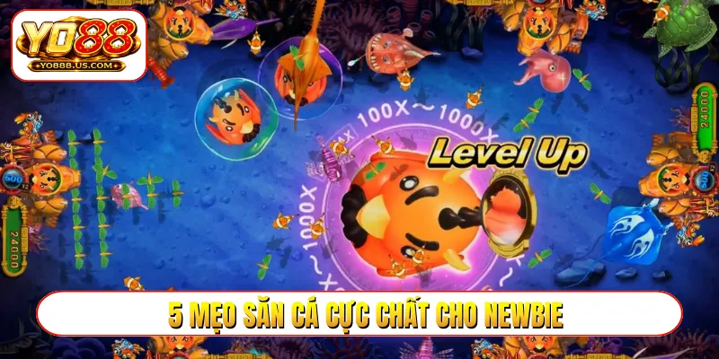 5 mẹo săn cá cực chất cho newbie