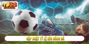 cập nhật tỷ lệ kèo bóng đá