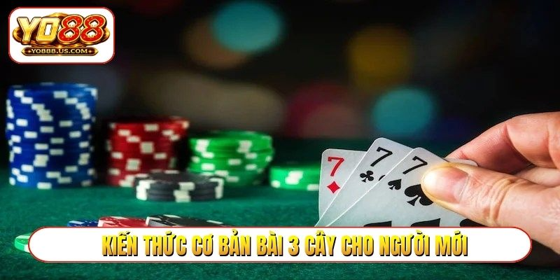 Kiến thức cơ bản bài 3 cây cho người mới
