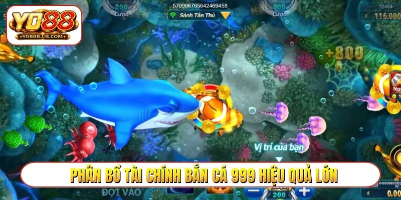 Phân bổ tài chính bắn cá 999 hiệu quả lớn