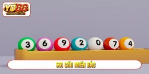 soi cầu miền bắc