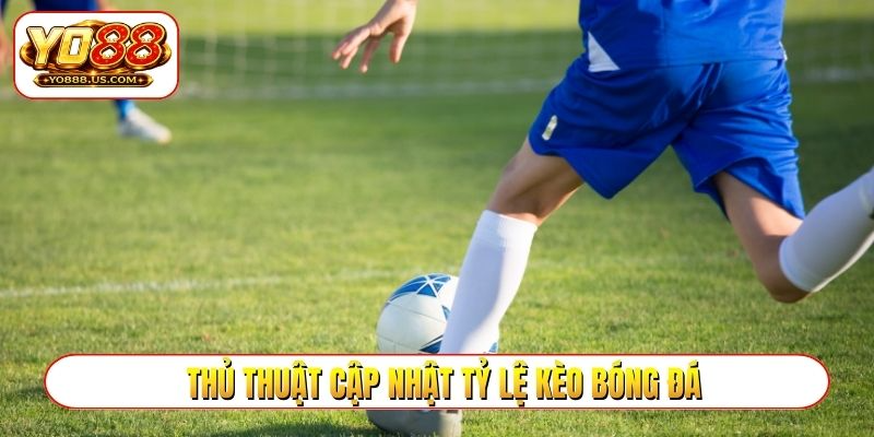 Thủ thuật cập nhật tỷ lệ kèo bóng đá, dự đoán chính xác